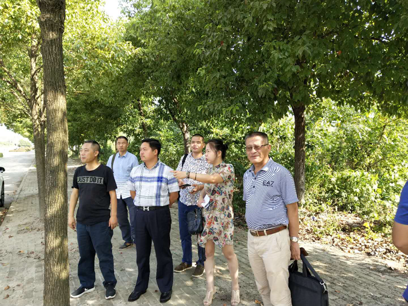 您上传的图片
